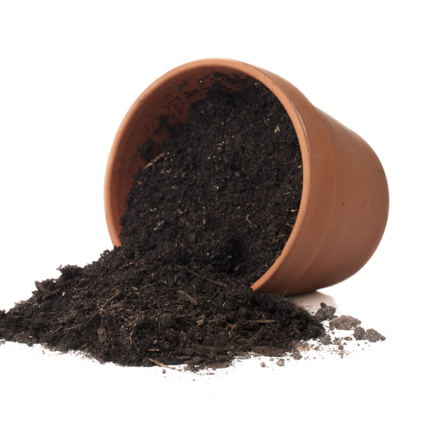buy potting soil online Cape Town