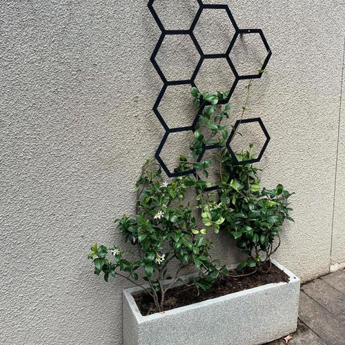 Urbanic hexagonal trellis with plant - for sale online South Africa