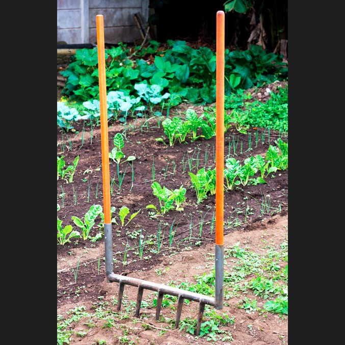 Broadfork tool for breaking ground, loosening soil, increasing soil health and biodiversity.