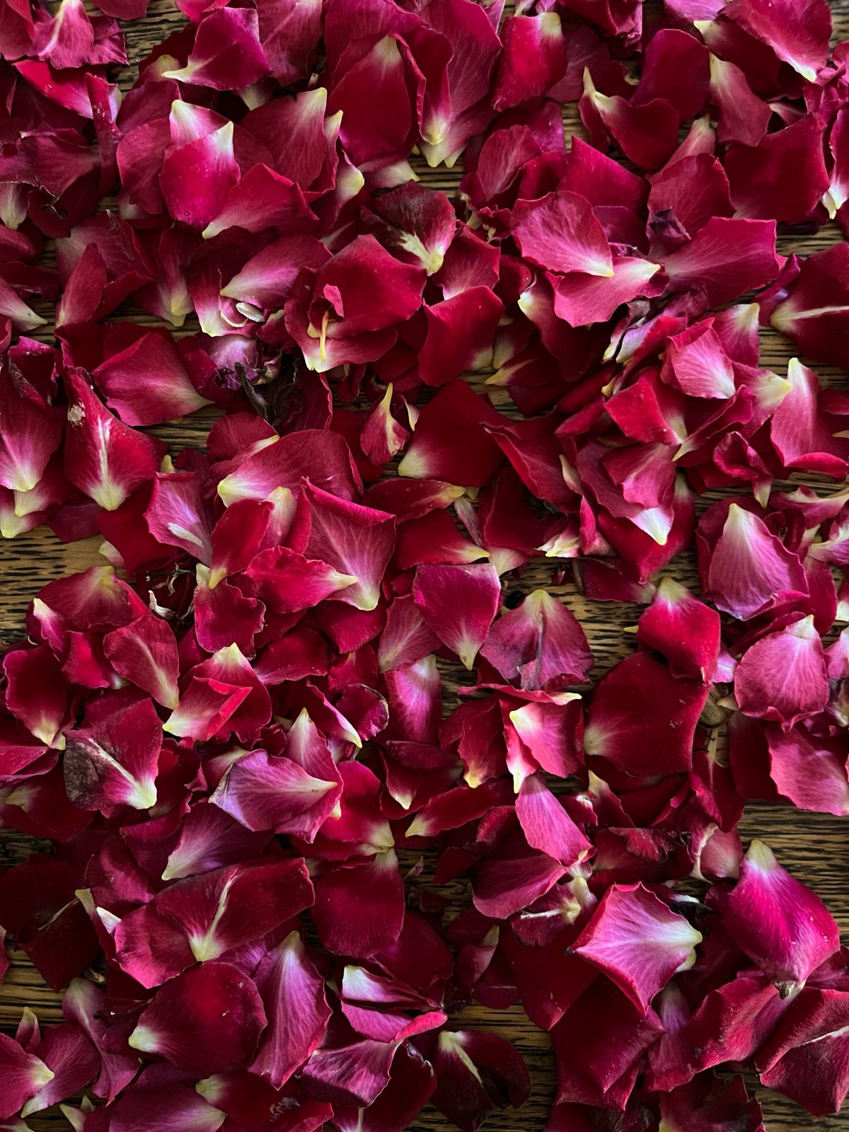 Red Midinette (Dried Rose Petals) - Image 2