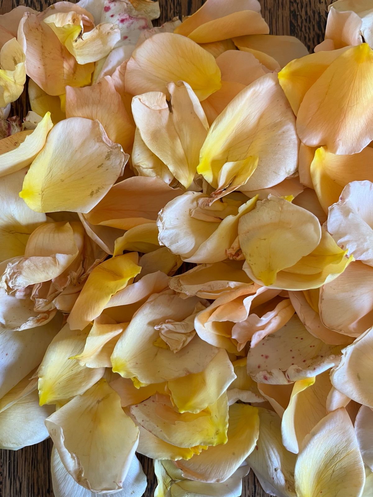 Just Joey (Dried Rose Petals) - Image 2