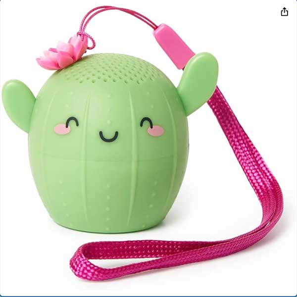 Cactus bluetooth speaker, South Africa