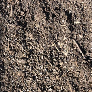 Medium compost for sale
