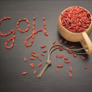 Goji berry plant for sale online