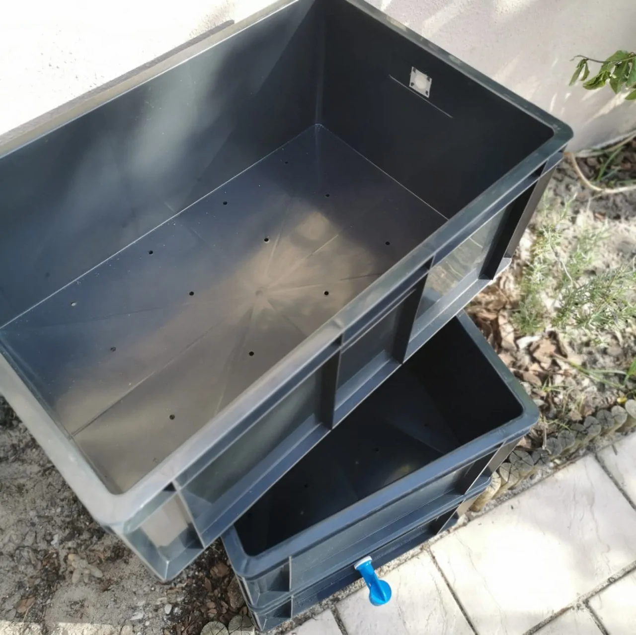 Worm Bin (45L) with worms - Image 2