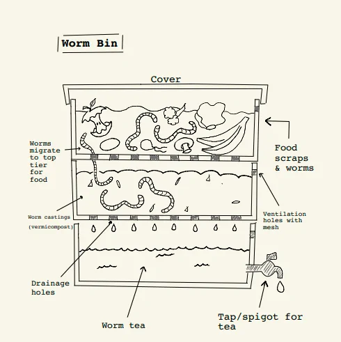 Worm Bin (45L) with worms - Image 4