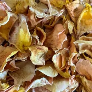 Just Joey (Dried Rose Petals)